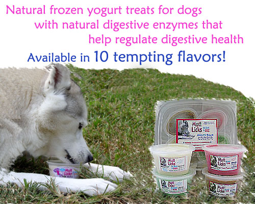 MuttLicks: Ice Cream for Dogs